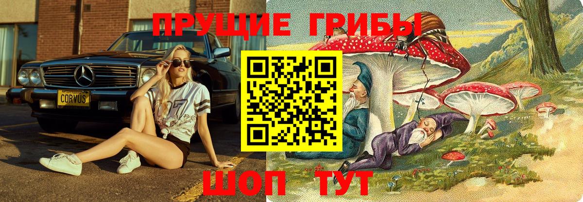 Псилоцибиновые грибы Psilocybine cubensis  Вход с VPN  Минеральные Воды 