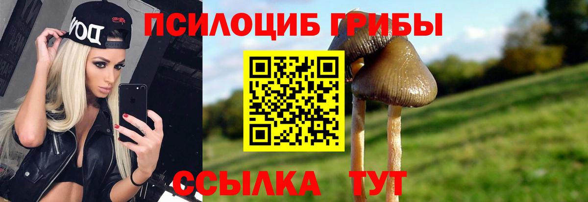 Псилоцибиновые грибы Psilocybe Минеральные Воды
